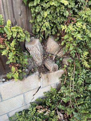 E.L Landscaping & Masonry