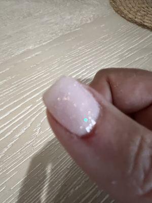 One of several cuts from filing more than my nails