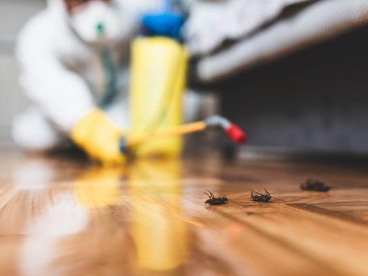 Action Pest Control