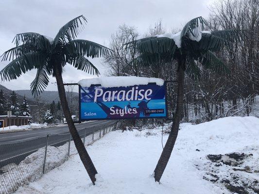 Paradise Styles