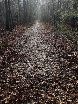River Pointe at Den Rock Park Apartments
