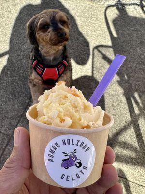 Daisy tangerine! Yum!