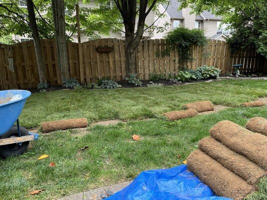 Kentucky Turf Company