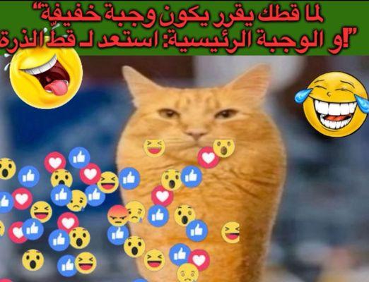 هذا مضحك جدا