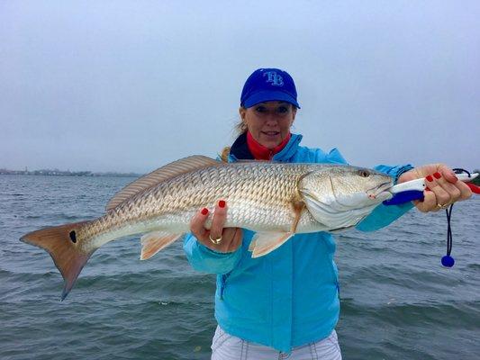 High Class Hooker Charters