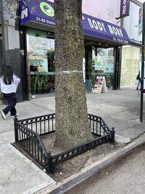 Modified existing tree guard to accommodate tree roots.