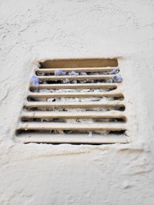Dryer lint blocking vent- no air flow in Palm Beach Gardens 33418