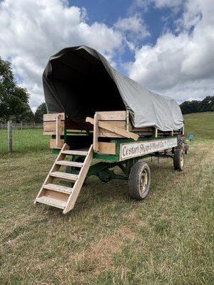 Cestari Sheep & Wool