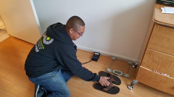 Go Green Restoration