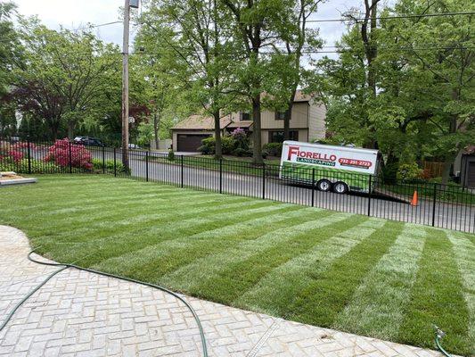 Fiorello Landscaping