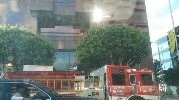 Quinn Emanuel Urquhart & Sullivan