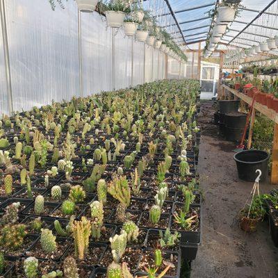 JL Shallow Creek Farm