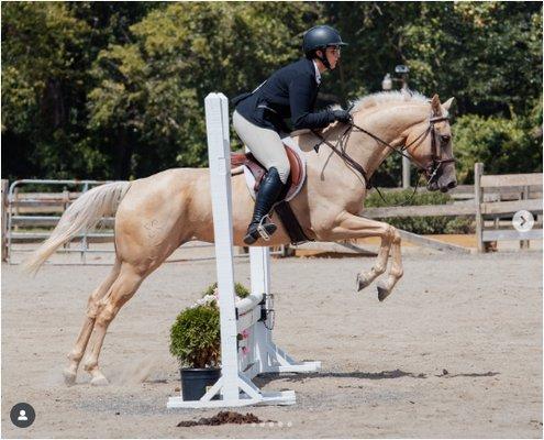 Hunters Edge Equestrian
