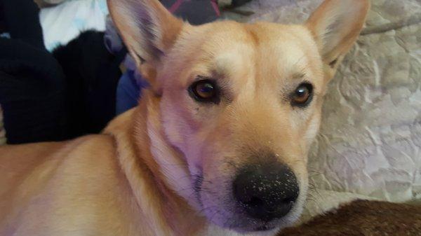 oggy thanks you too!