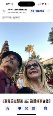 Blue Illusion Beauty - Carlsbad