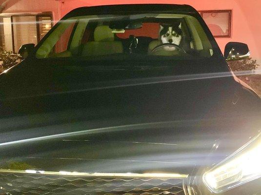 Huskies Limo Services