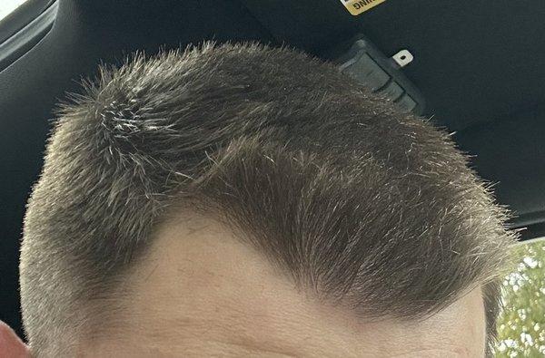 This is the haircut as im sitting in the car driving to another barber to get it fixed