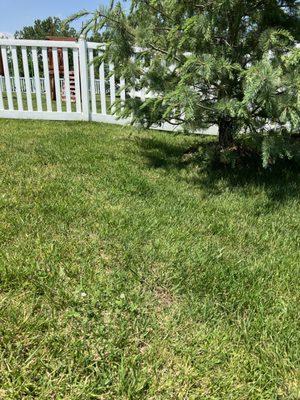 K&S Lawn Maintenance