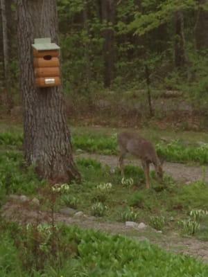Quiet Oaks Hospice House