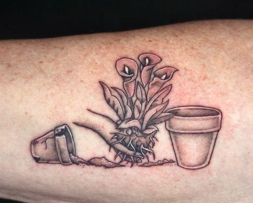 Studio 7 Tattoo and Art Gallery