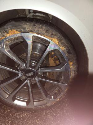 Champs Performance Plus