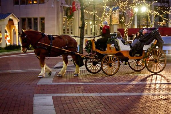 Start a new holiday tradition with Blue Ribbon Carriage Co.!