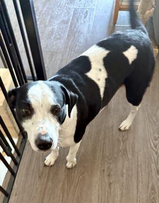 One clean pretty princess with no more tippy taps