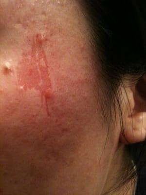 NEVER EVER GOING BACK