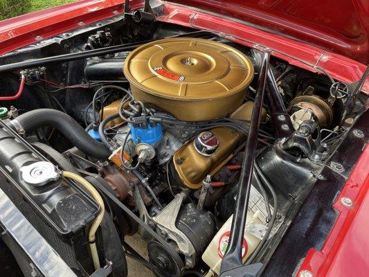 Alamo Classic Ponies