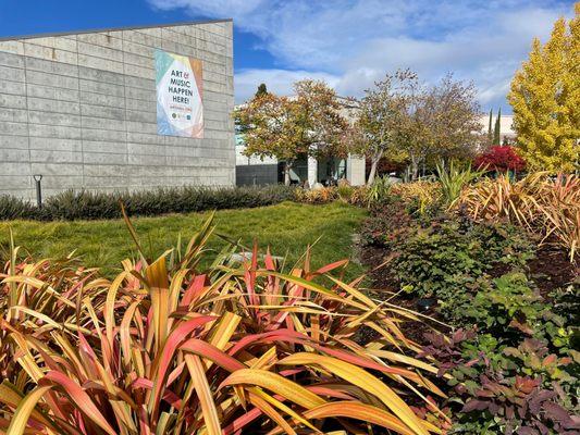 Community School of Music and Arts