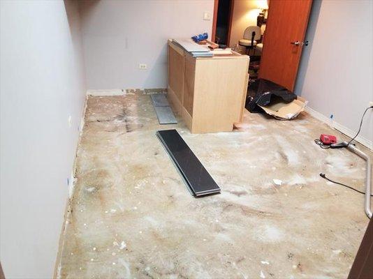 Courtesy Cleaning & Maintenance