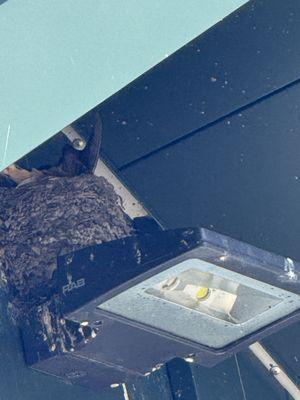 Squatchy Cafe & Deli at Lakeside Country Store