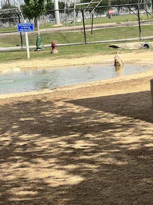Danny Jackson Dog Park
