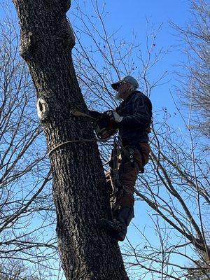 Southern Tree Service