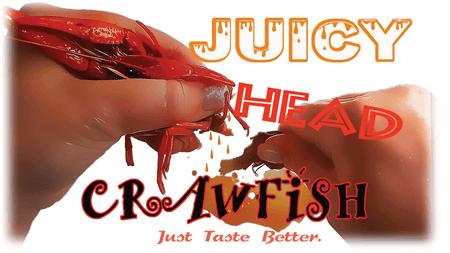 Juicy Head Crawfish