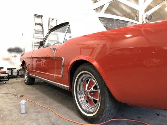 During a paint correction on this classic Mustang.