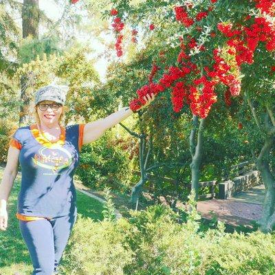 Pismo Mobile Medical Massage