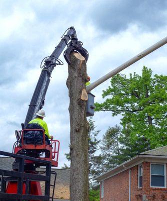 Arbor Jack Tree Service