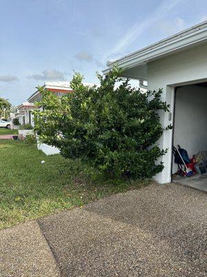 Z's Landscaping Plus