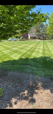 You name it, we stripe it!