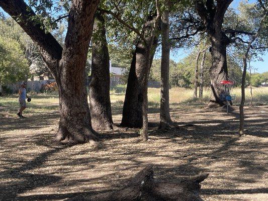 Nani Falcone Dog Park