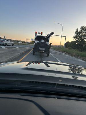 Dream of The Monarch Butterfly Tree Services