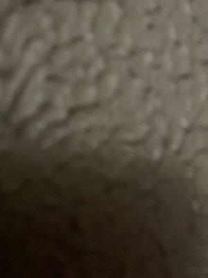 Yo