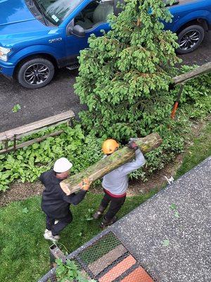 Arborscaper Tree & Landscape