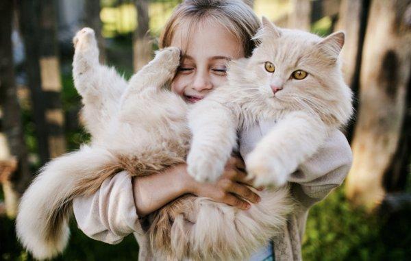 Kirkwood Veterinary Hospital