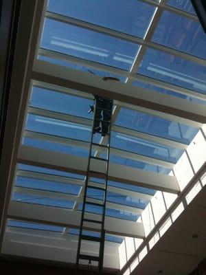 Tollins Window Cleaning