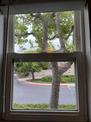 Mobile Window Washing