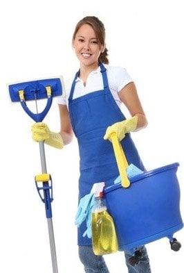 House Cleaner