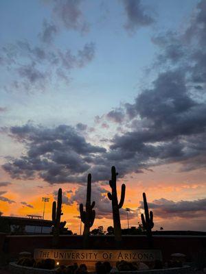 The University of Arizona