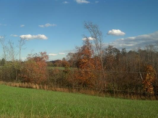 Street's Transmissions